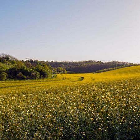 Herőke Vendégház Terény Exterior foto